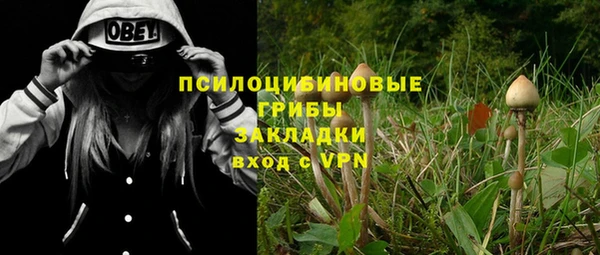 стафф Медвежьегорск