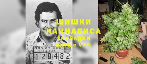 стафф Медвежьегорск