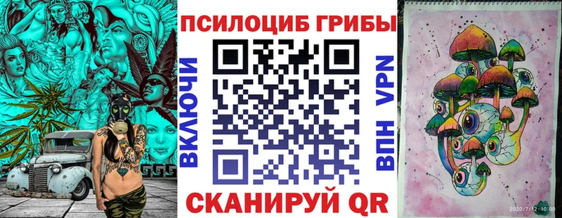 Псилоцибиновые грибы Psilocybine cubensis Анапа