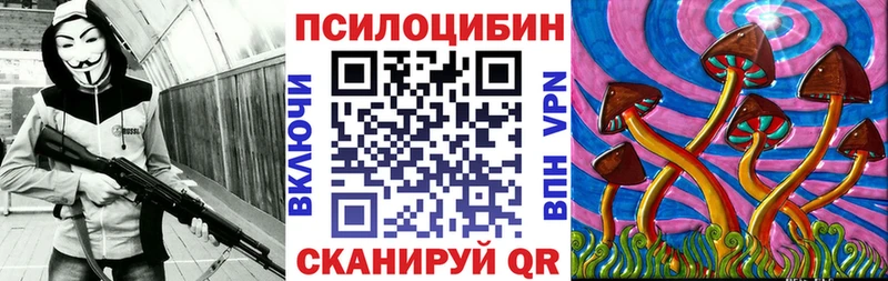 Купить Анапа Псилоцибиновые грибы GOLDEN TEACHER